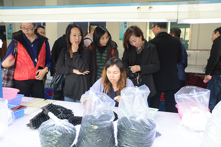 参观91免费片版下载包装车间